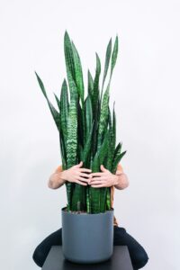 Photo by feey on Unsplash