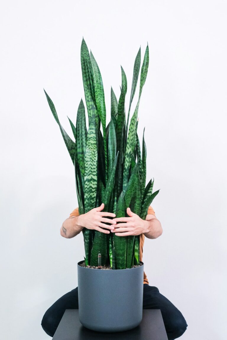 Photo by feey on Unsplash